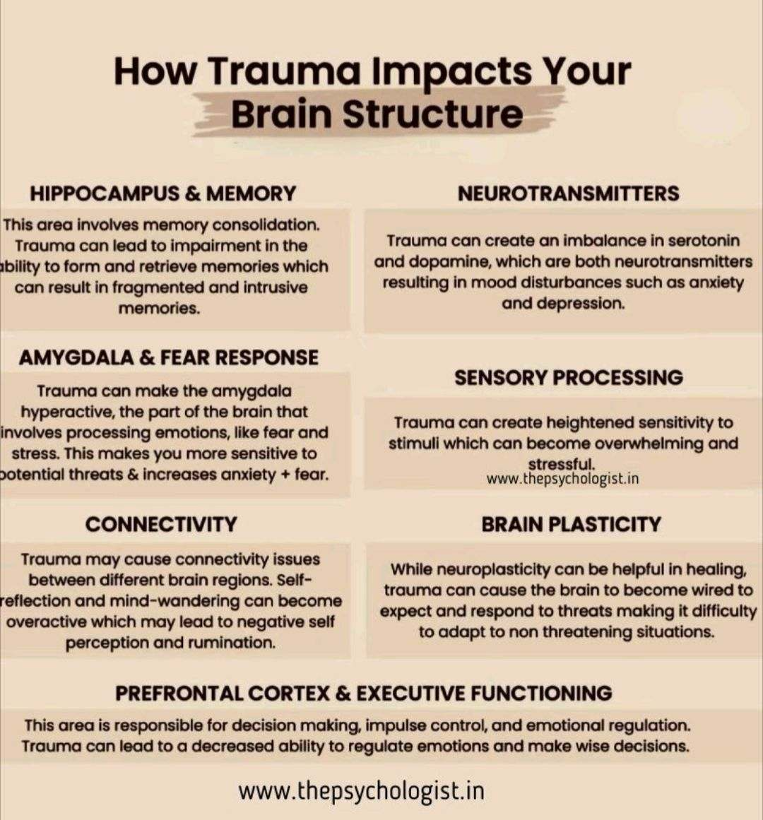 How trauma affects the brain