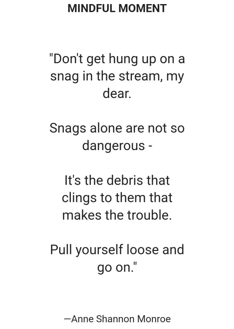 Anne Shannon Monroe quote